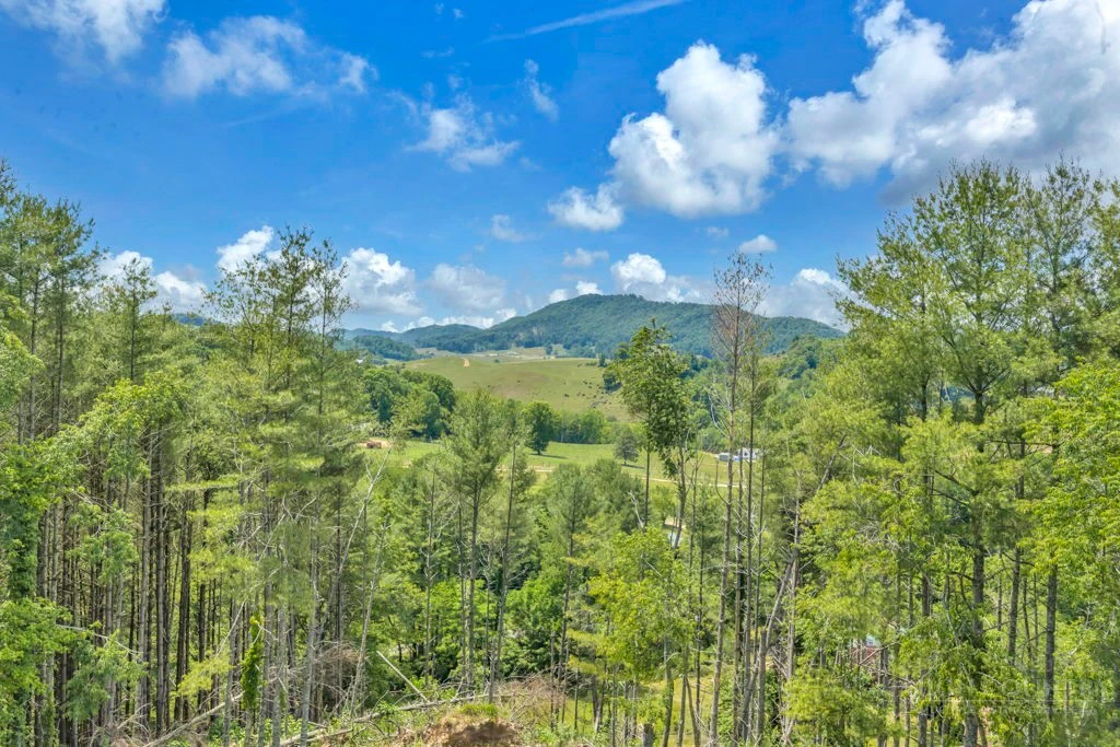 Image number 10 for the current listing