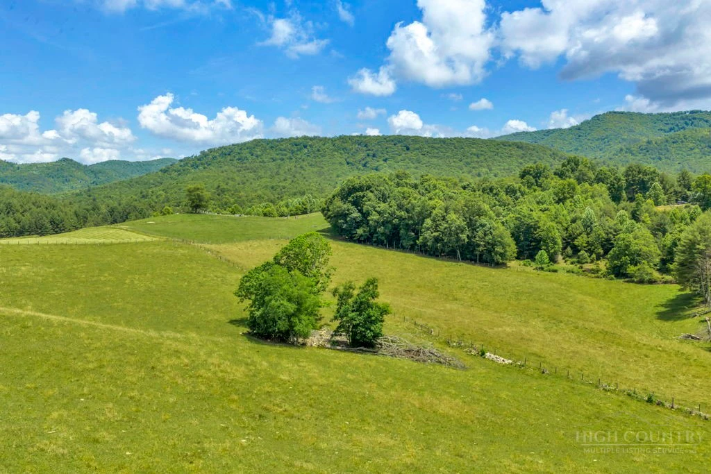 Image number 11 for the current listing