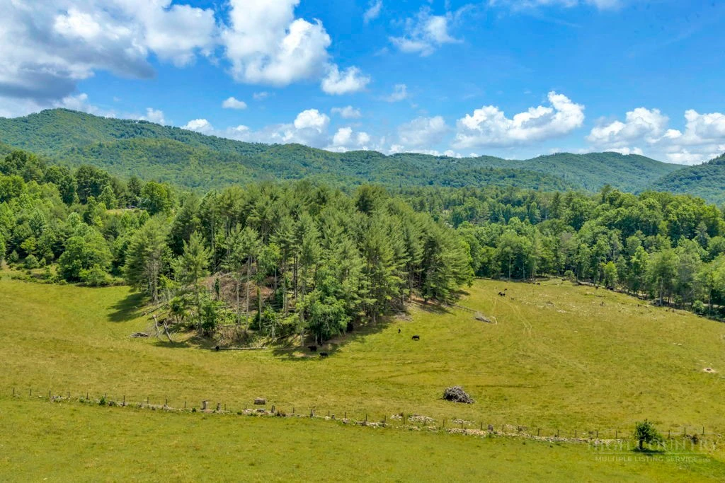 Image number 12 for the current listing