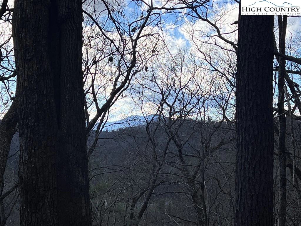 Image number 1 for the current listing