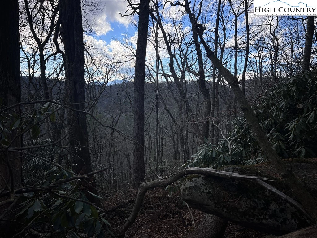 Image number 3 for the current listing