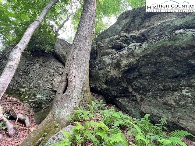 Image number 5 for the current listing