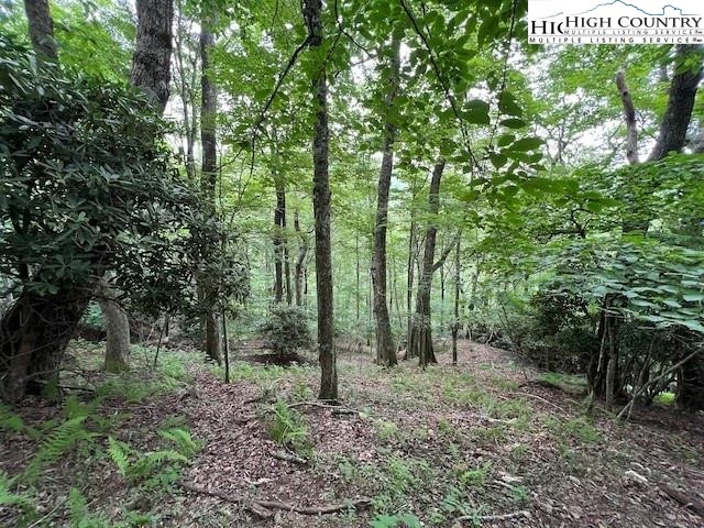 Image number 6 for the current listing