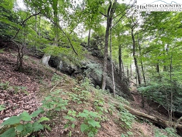 Image number 7 for the current listing