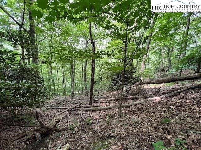 Image number 8 for the current listing