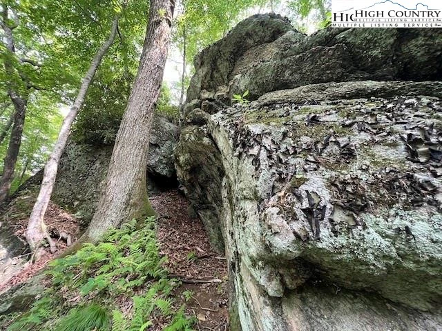 Image number 11 for the current listing