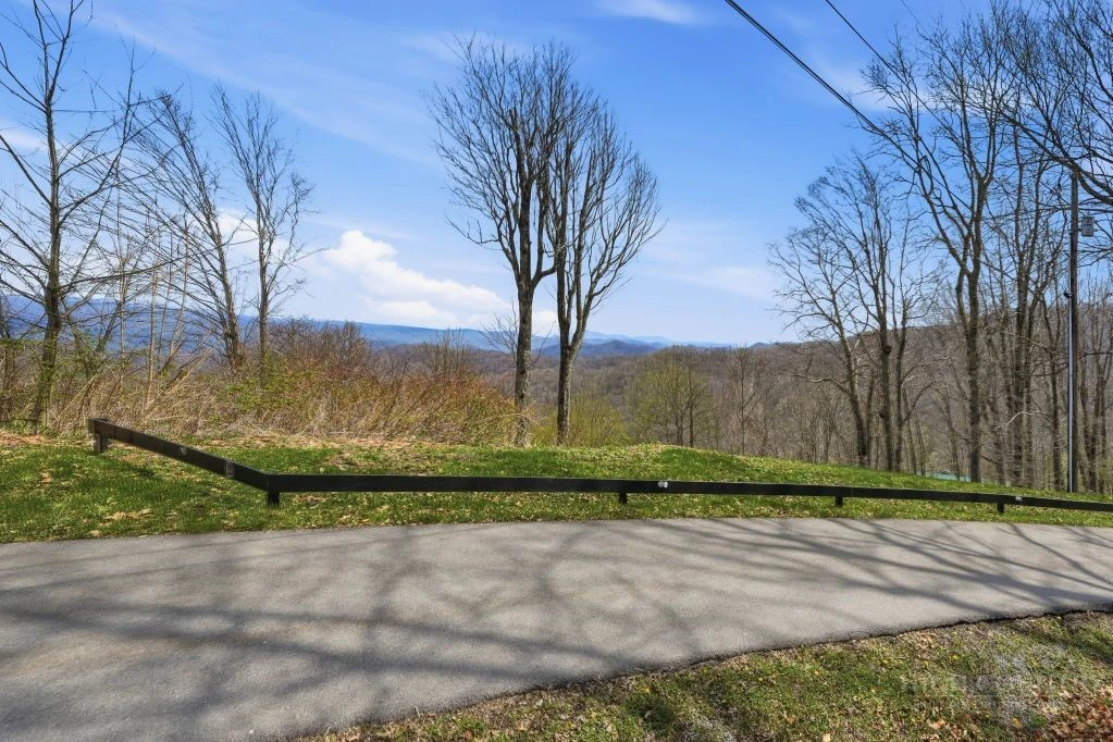 Image number 2 for the current listing
