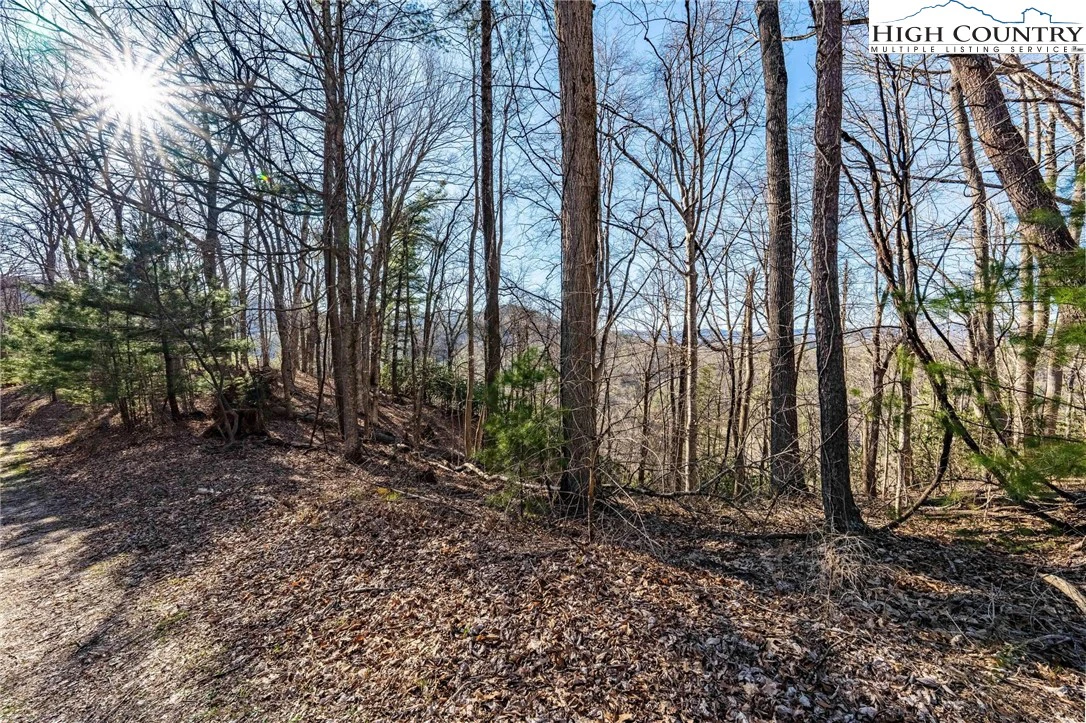 Image number 12 for the current listing