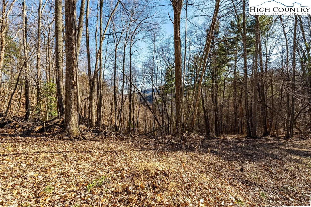 Image number 3 for the current listing