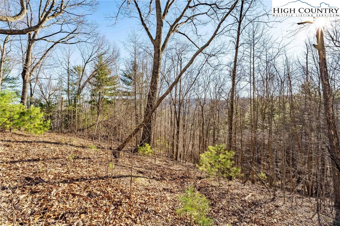 Image number 4 for the current listing