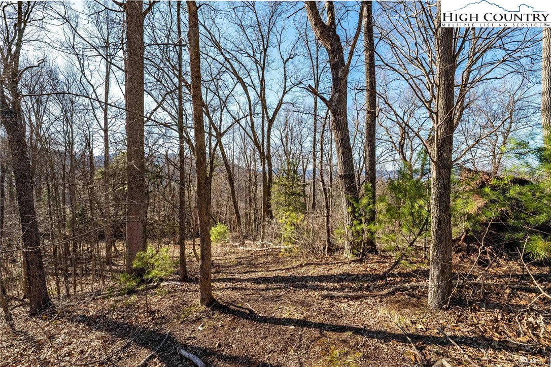 Image number 5 for the current listing
