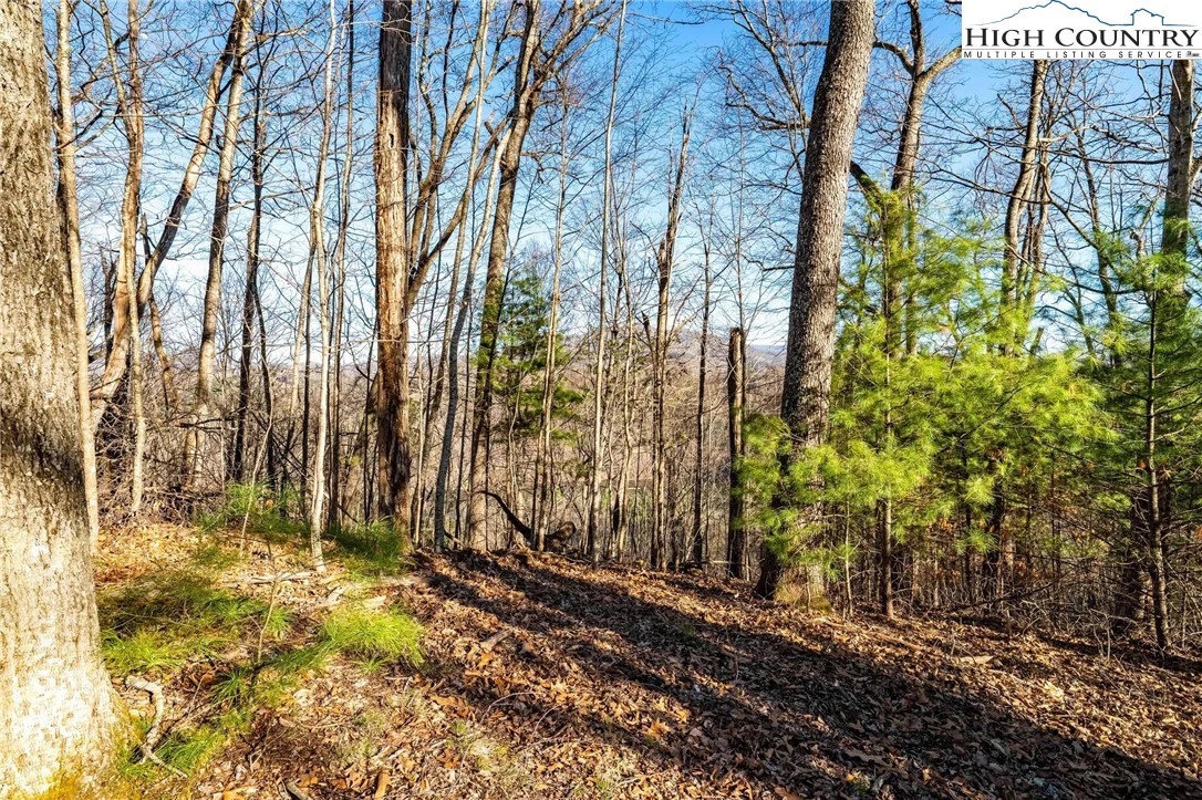Image number 7 for the current listing