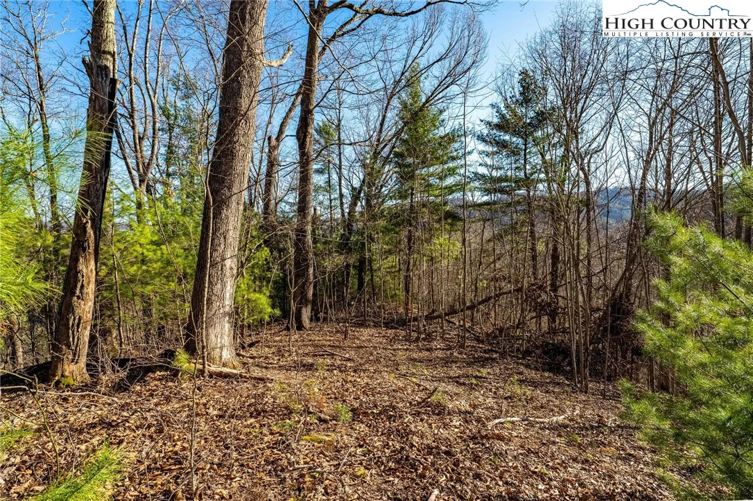 Image number 9 for the current listing