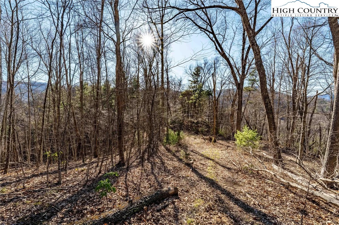Image number 10 for the current listing