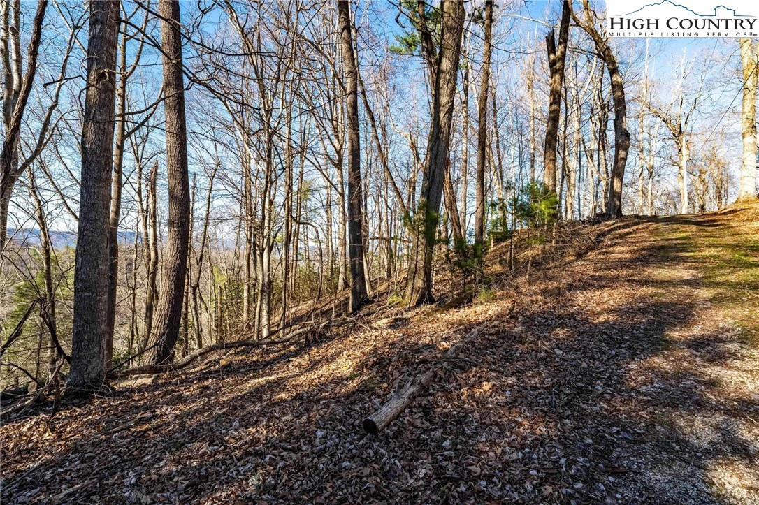Image number 2 for the current listing