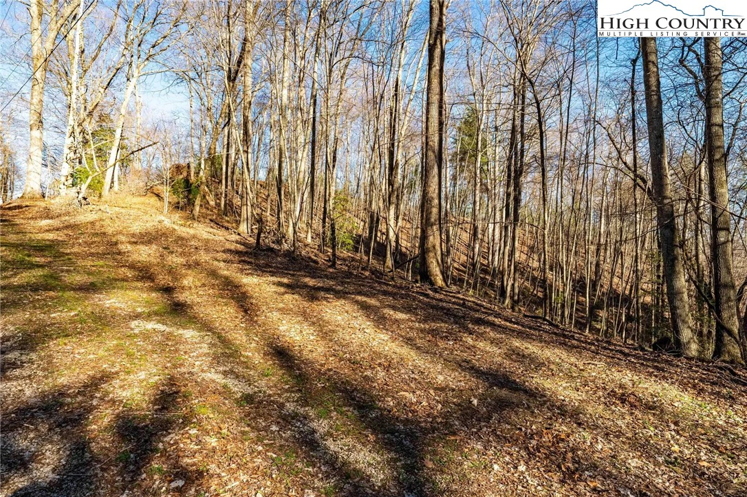 Image number 13 for the current listing
