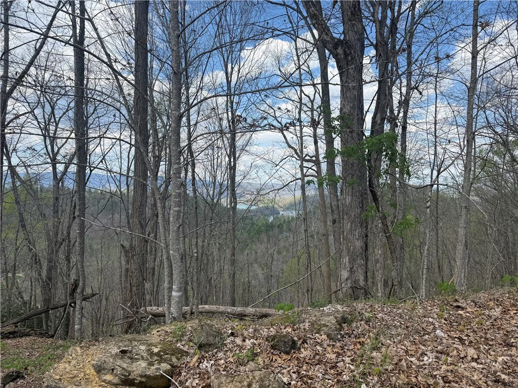 Image number 15 for the current listing