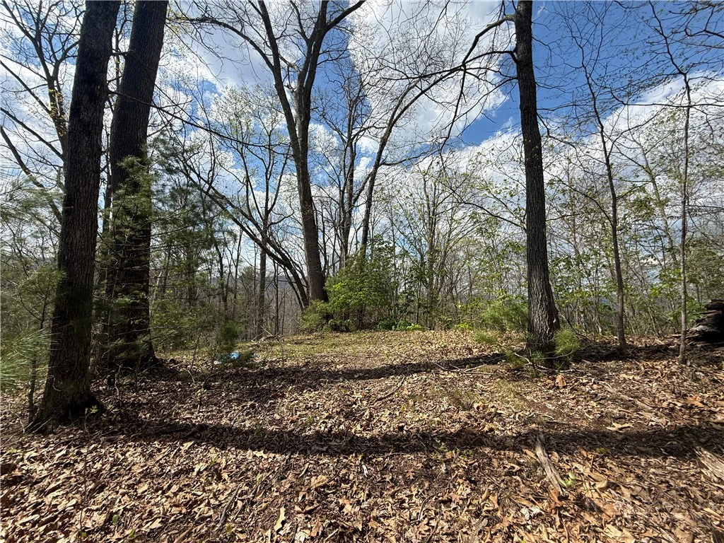 Image number 19 for the current listing