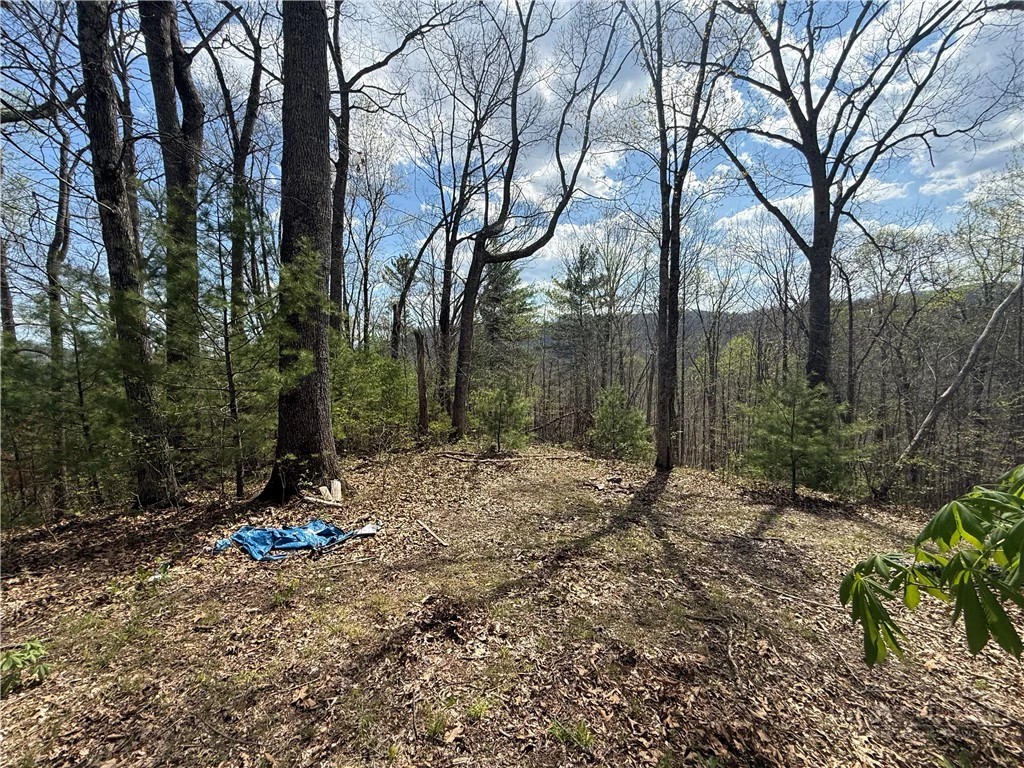Image number 21 for the current listing
