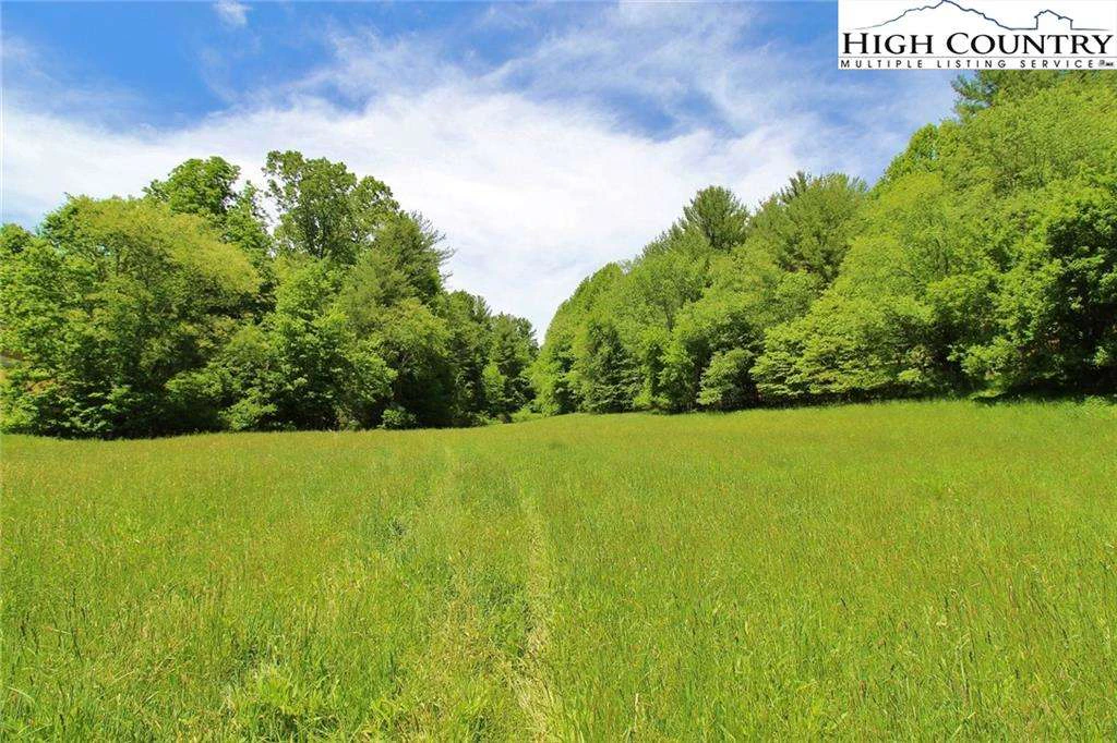 Image number 1 for the current listing