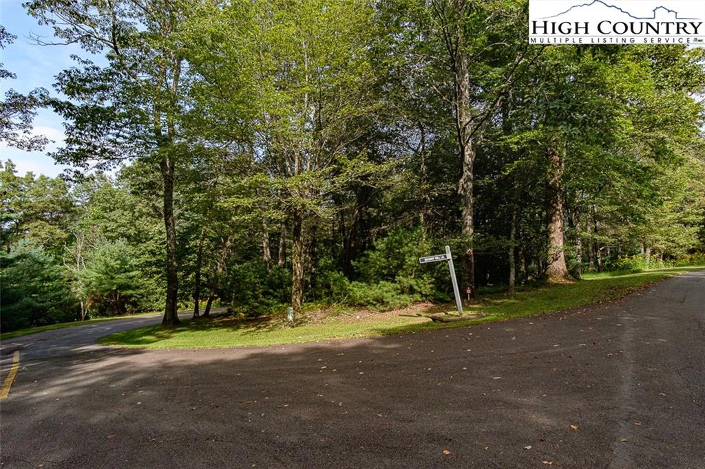 Image number 1 for the current listing