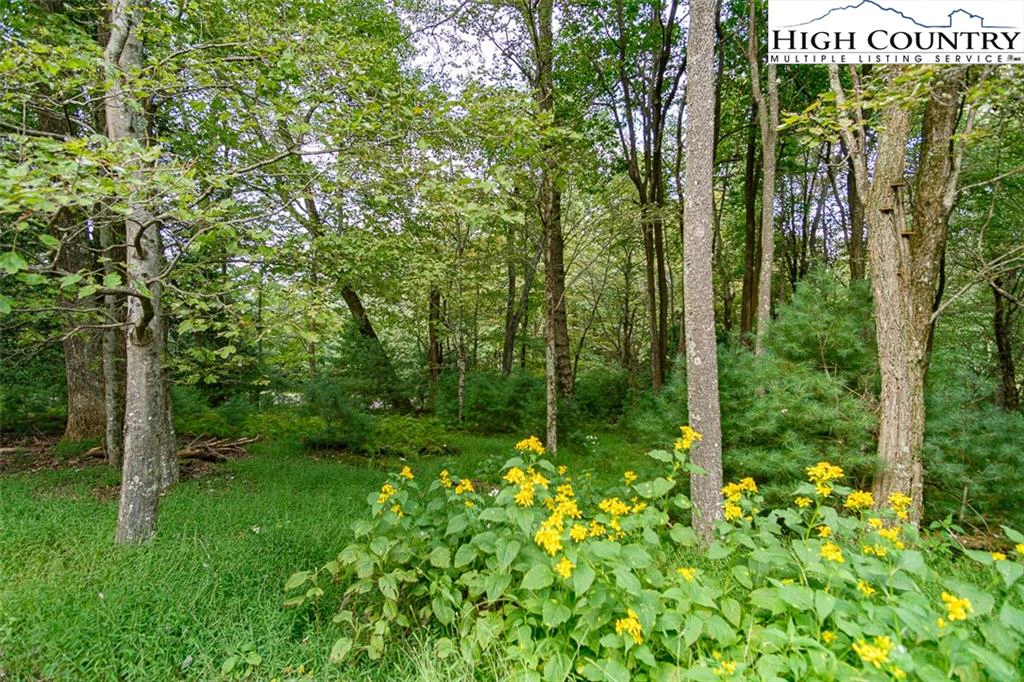 Image number 3 for the current listing