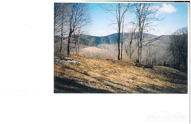 Image number 3 for the current listing