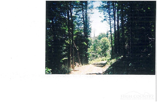 Image number 4 for the current listing