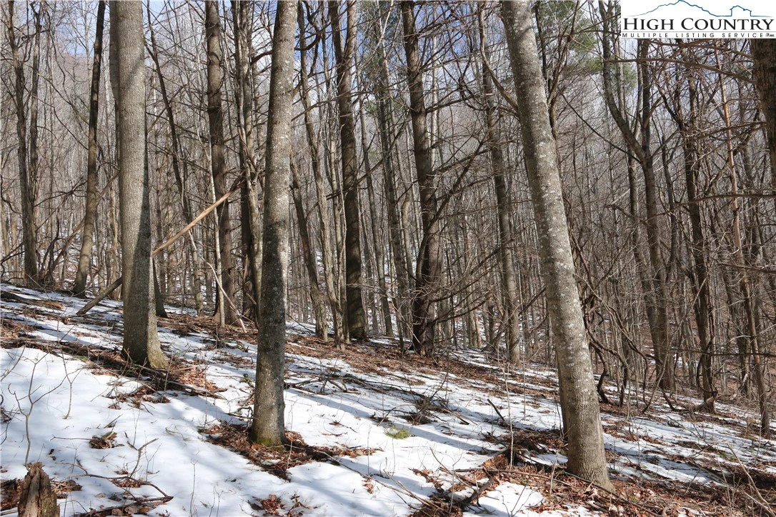 Image number 3 for the current listing