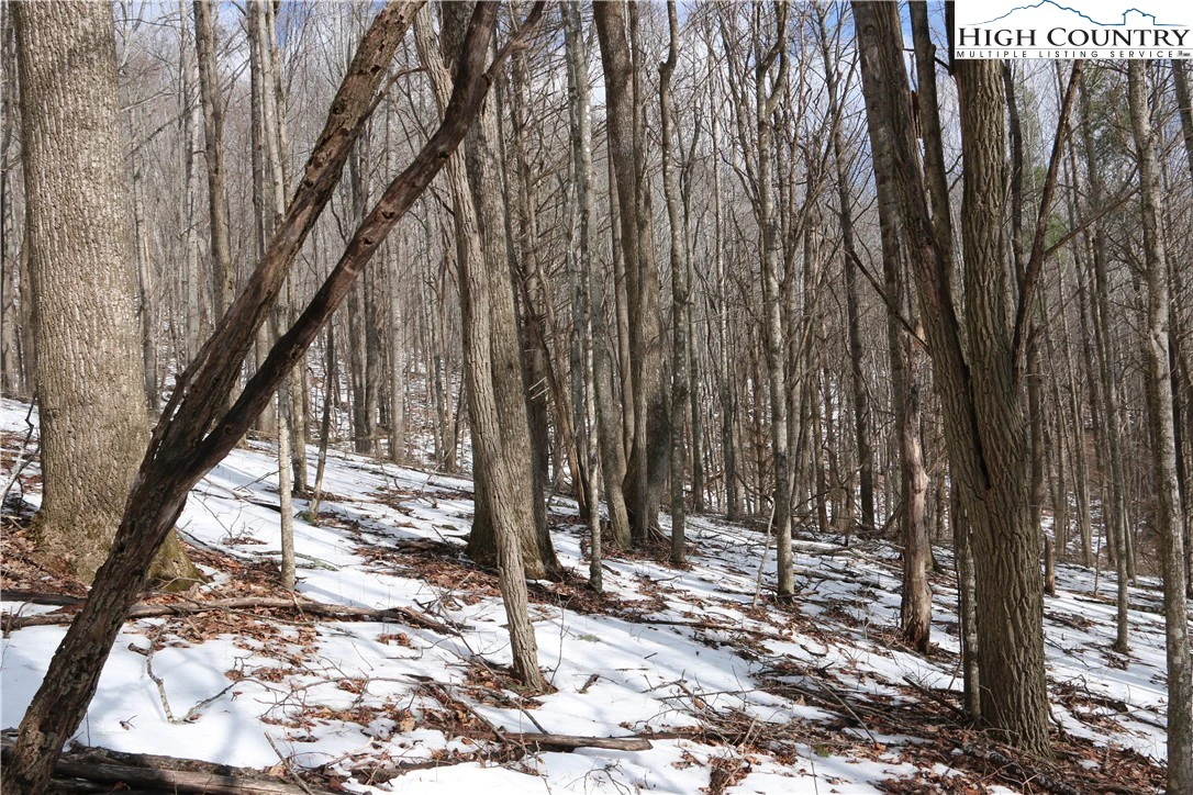 Image number 9 for the current listing