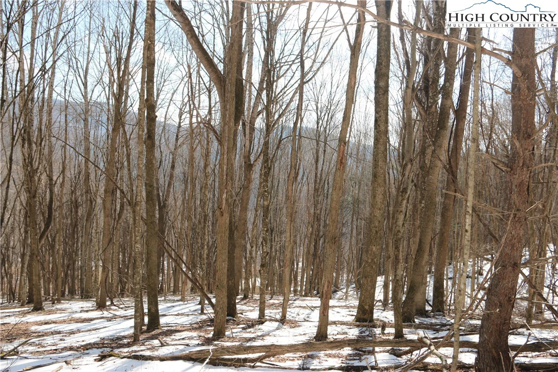 Image number 16 for the current listing