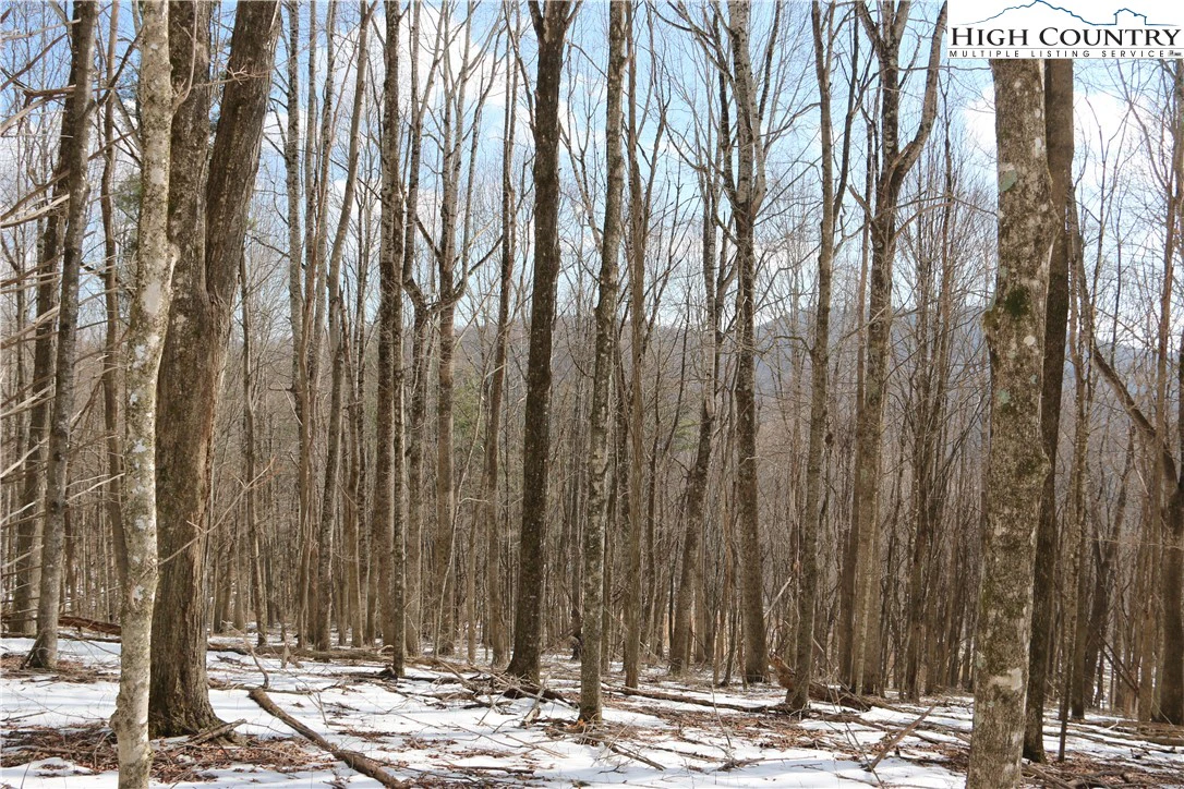 Image number 19 for the current listing