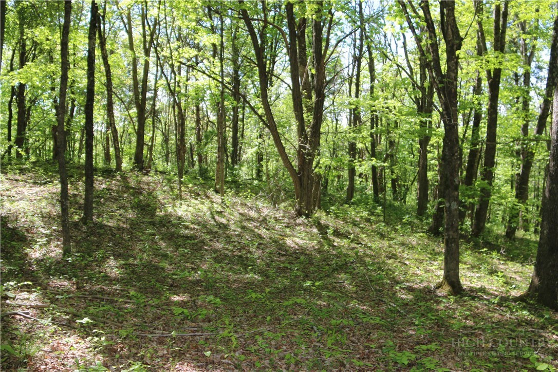 Image number 6 for the current listing