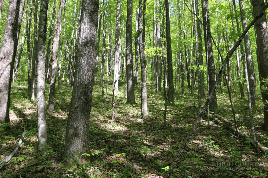 Image number 7 for the current listing