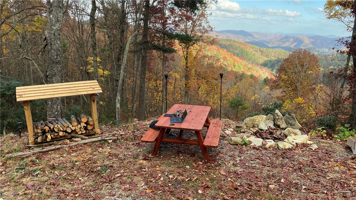 Image number 2 for the current listing