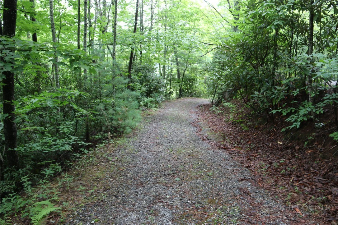 Image number 10 for the current listing