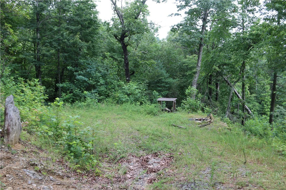 Image number 11 for the current listing