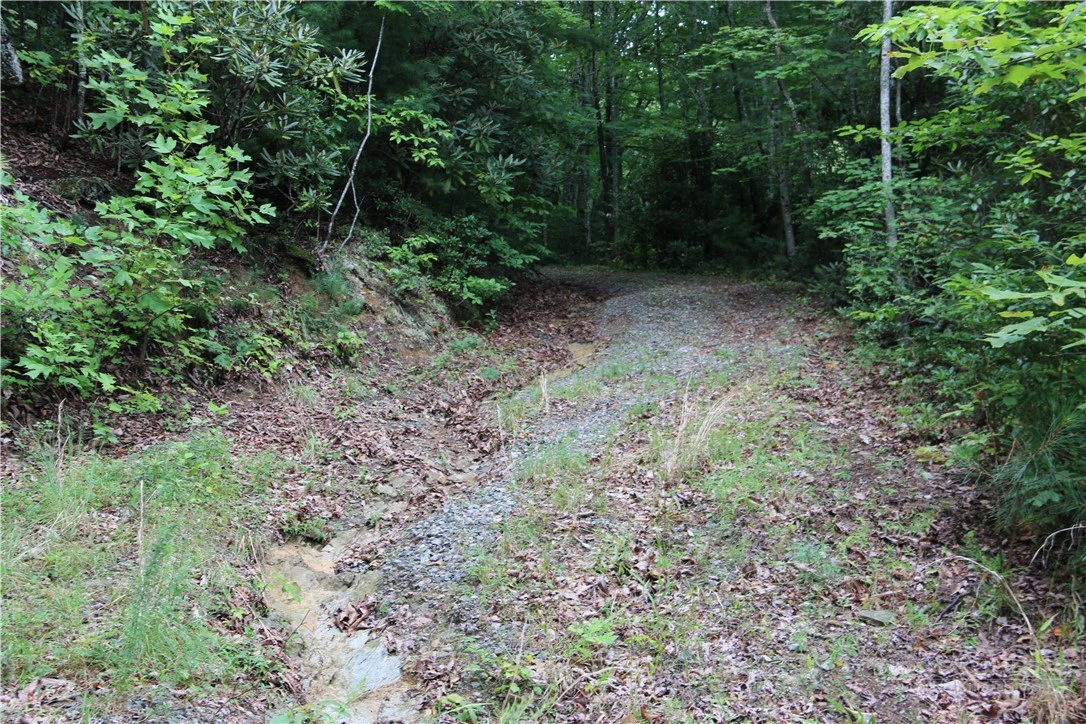 Image number 12 for the current listing