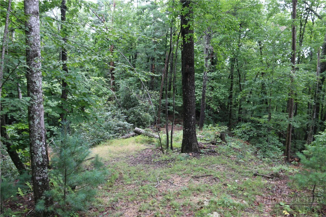 Image number 16 for the current listing