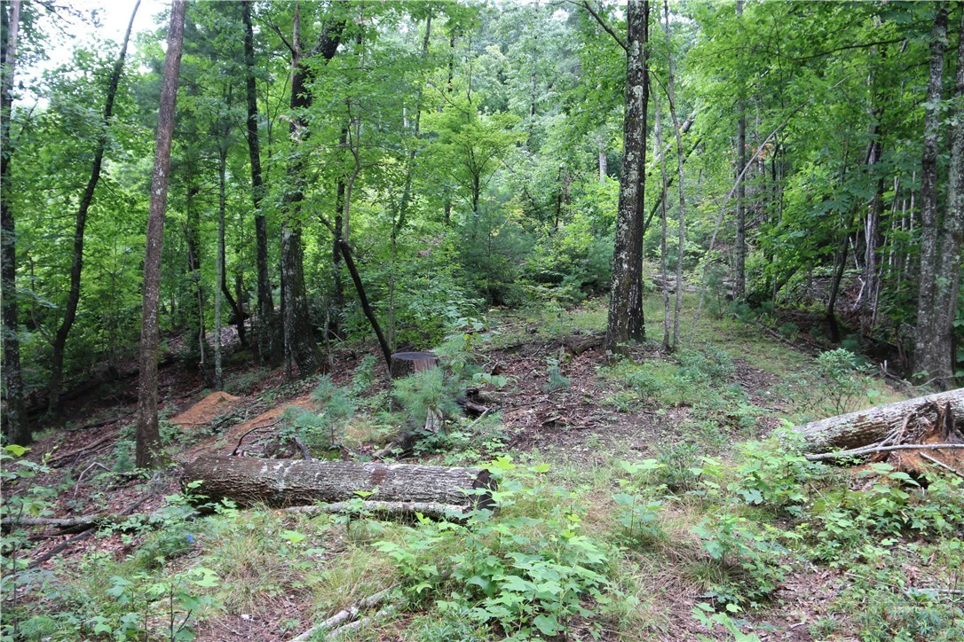 Image number 18 for the current listing