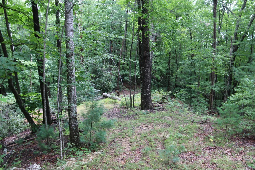 Image number 20 for the current listing