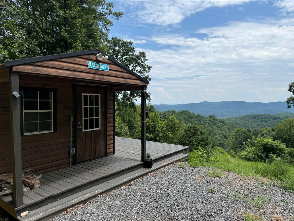 Image number 1 for the current listing