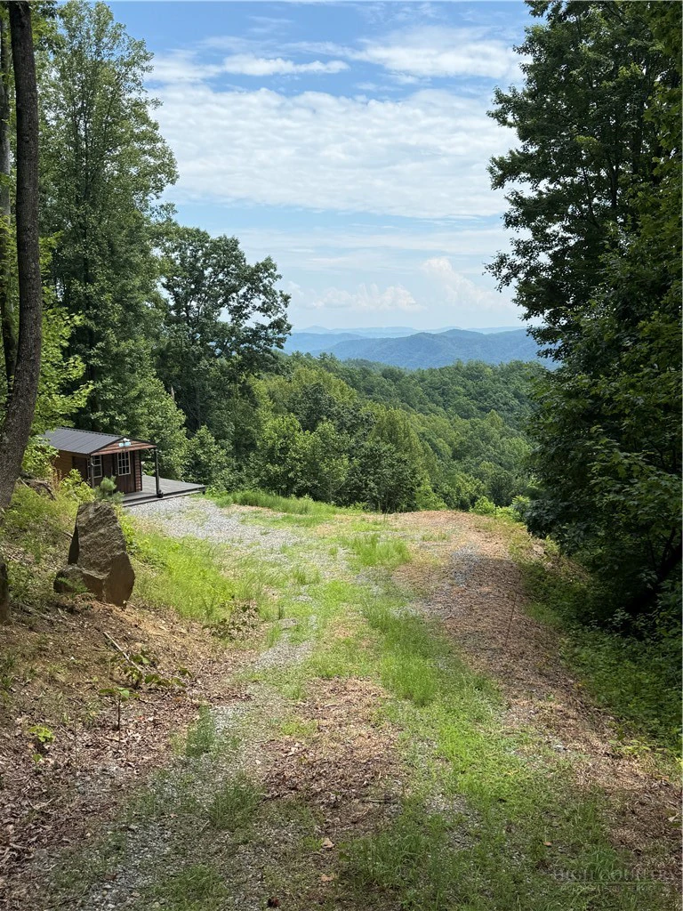 Image number 2 for the current listing