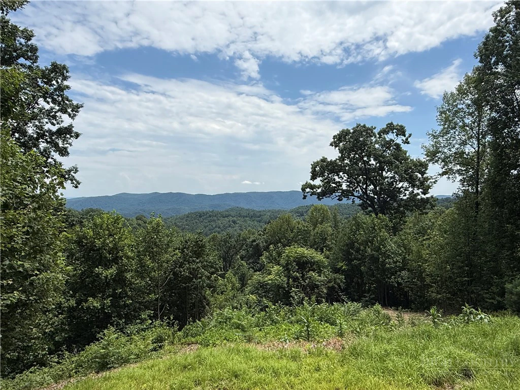 Image number 3 for the current listing