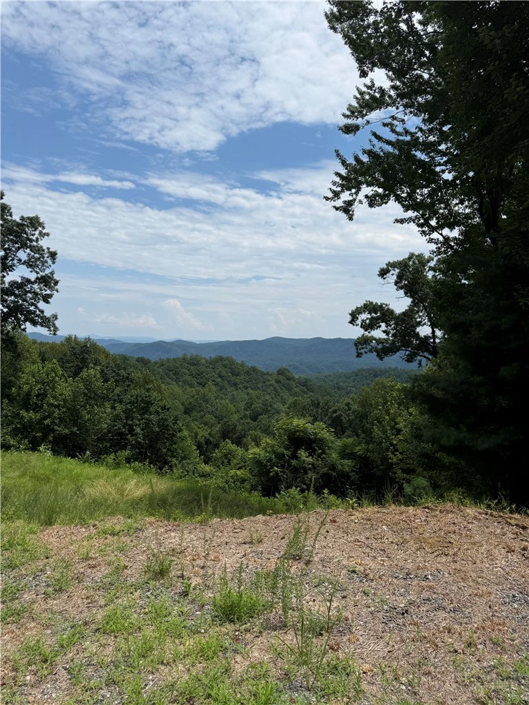Image number 4 for the current listing