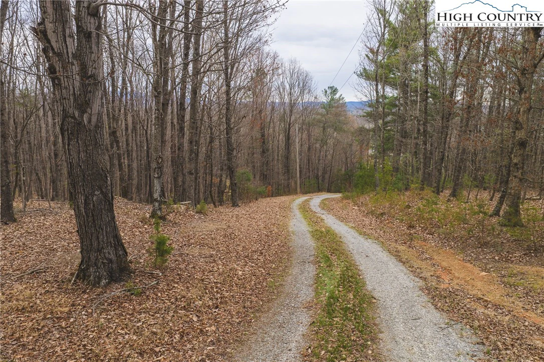 Image number 1 for the current listing