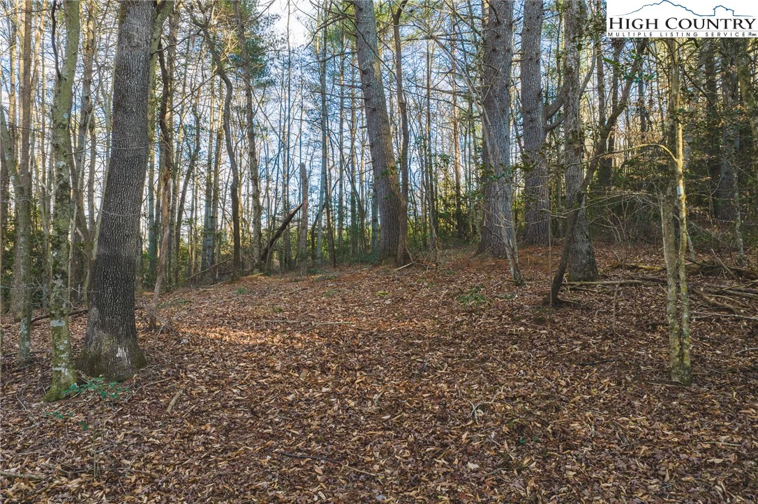 Image number 16 for the current listing