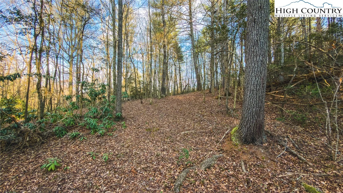 Image number 2 for the current listing