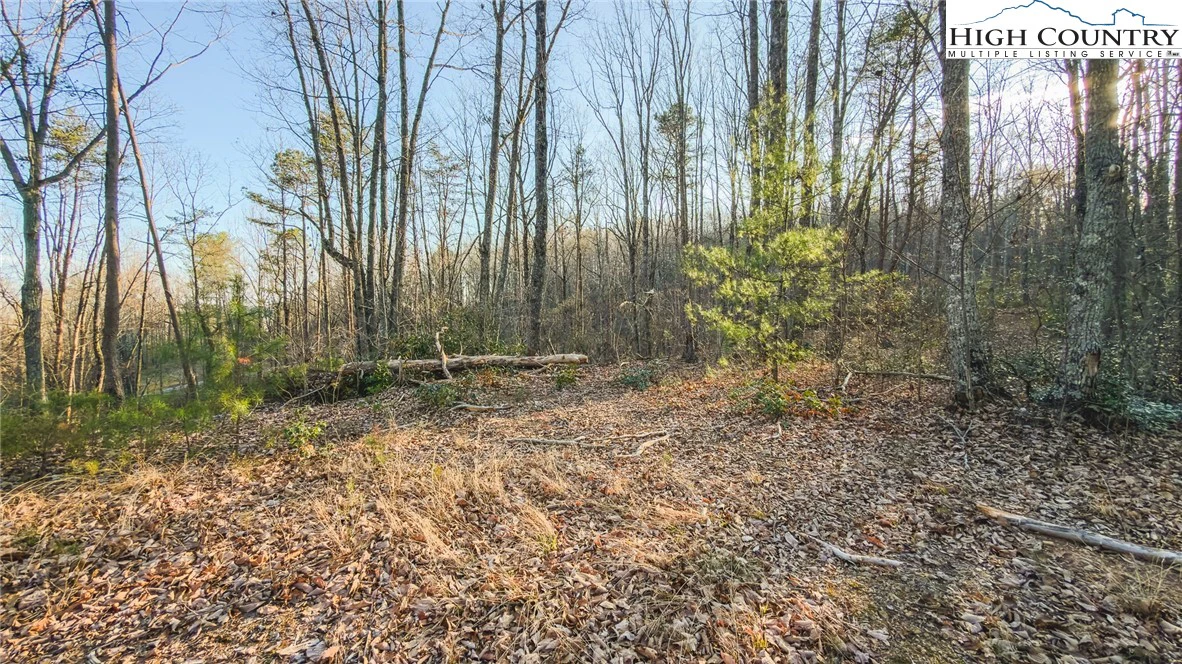 Image number 5 for the current listing