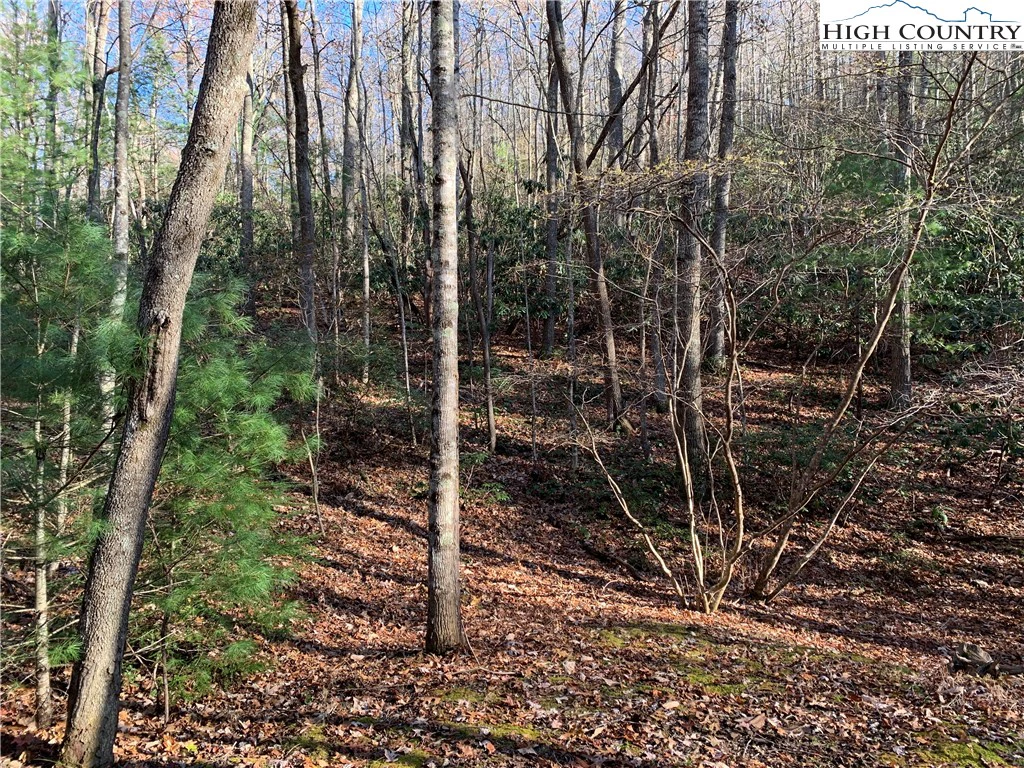 Image number 1 for the current listing